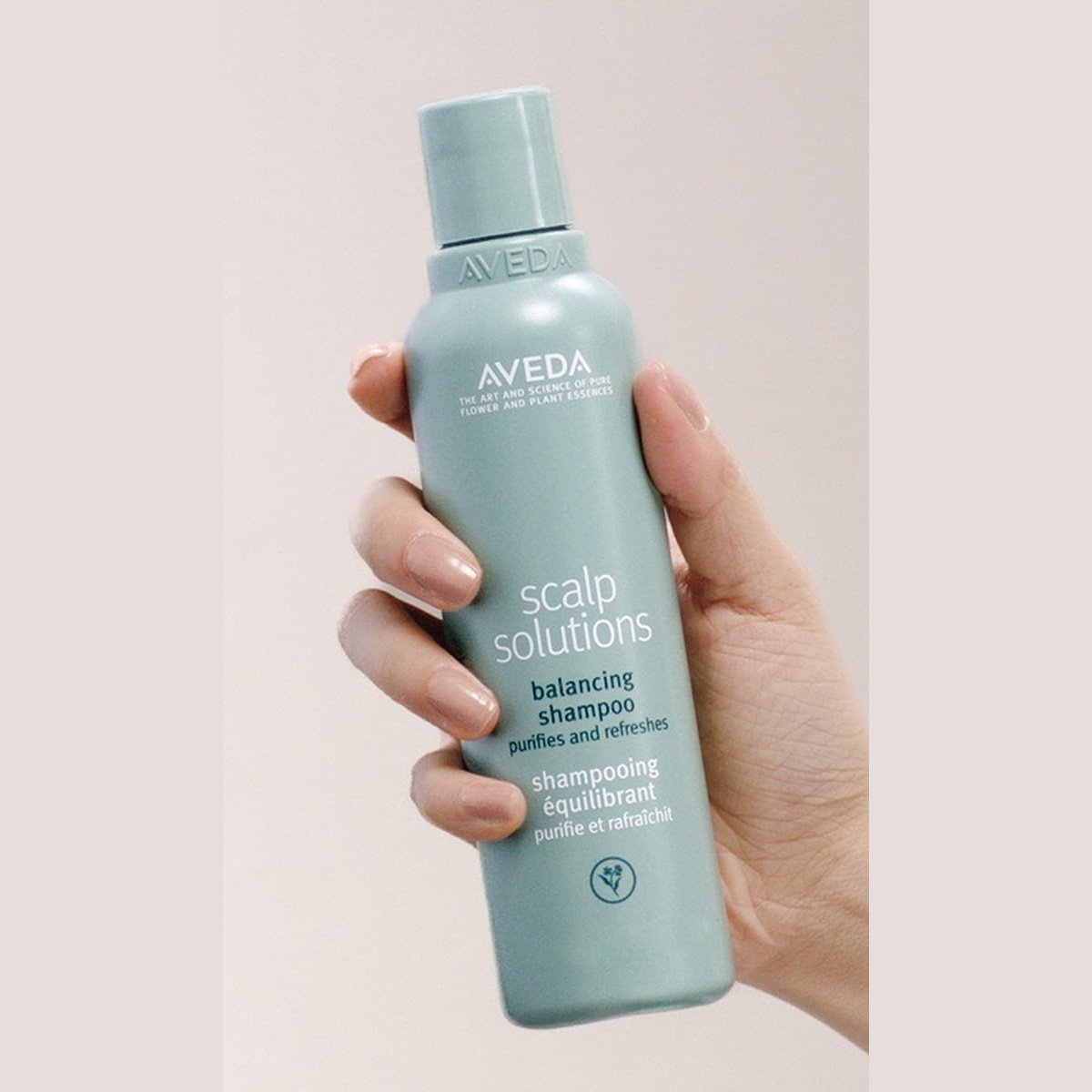 Aveda Scalp Solutions Balancing Shampoo 200 ml -2 Pack 715936237672