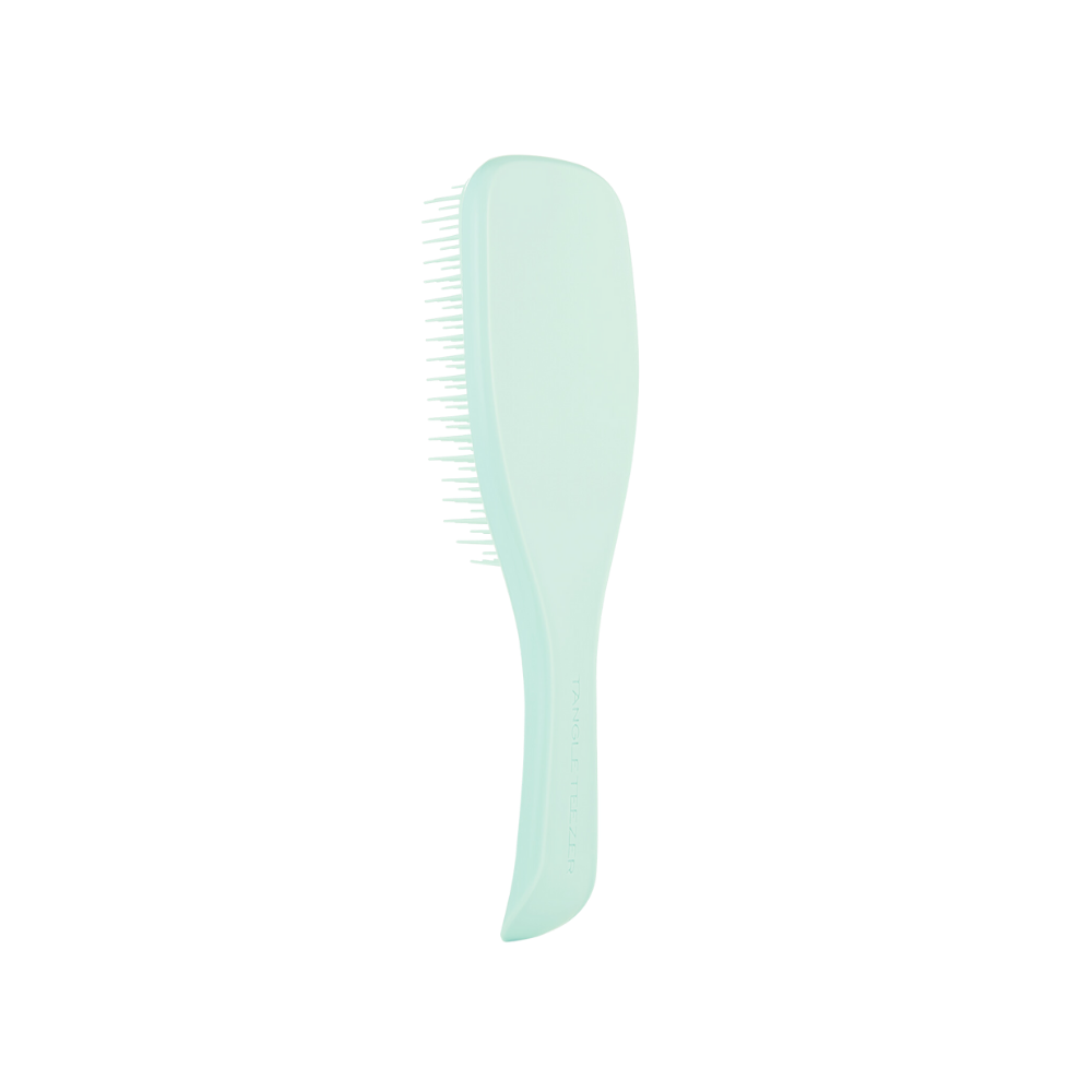 Tangle Teezer The Ultimate Wet Detangler Regular Jade Lagoon Mint Hair Brush - Chivela