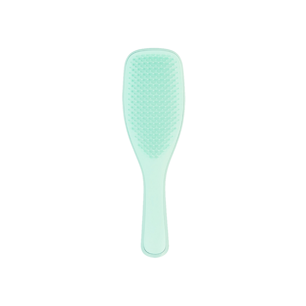 Tangle Teezer The Ultimate Wet Detangler Regular Jade Lagoon Mint Hair Brush - Chivela