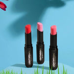 Flormar Lightweight Lip Powder Highly Pigmented & Ultra Light Lipstick with Matte Finish 3g - 003 Always With Me 8682536061681