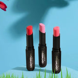 Flormar Lightweight Lip Powder Highly Pigmented & Ultra Light Lipstick with Matte Finish 3g - 003 Always With Me 8682536061681