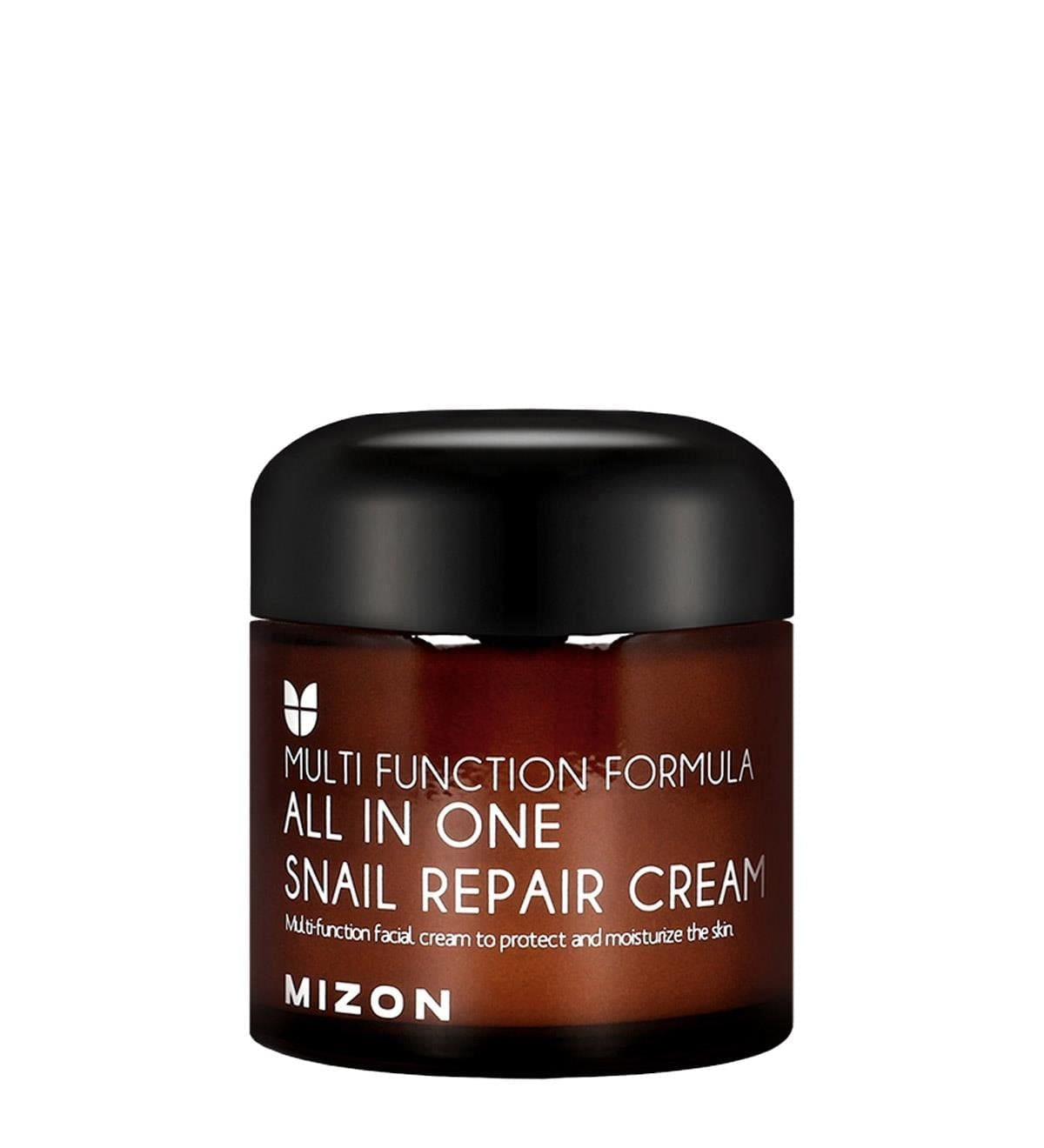 Mizon All In One Snail Repair Cream 75g 8809587520664