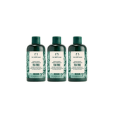 The Body Shop Tea Tree Conditioner 250ml 3 Pack 757279514553